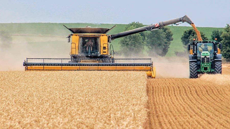 Farmers working intensively in the field during peak season