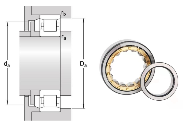 a diagram and two single row cylindrical roller bearing