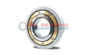 An Electrically Insulated Ball Bearing 6310M/C3VL0241