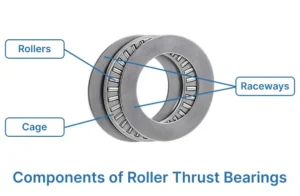 point out the components of roller trust bearing, including raceway, roller and cage