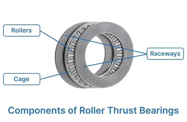 point out the components of roller trust bearing, including raceway, roller and cage