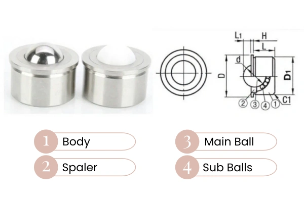 A detailed diagram illustrating the internal components of a roller ball caster, highlighting the main ball and smaller support bearings within the housing.
