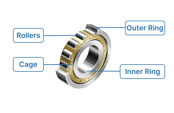 Point out the cylindrical roller bearing structure