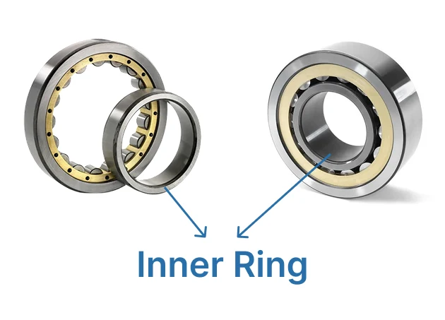 Image point out the position of the cylindrical roller bearing