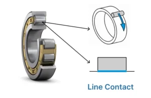 A roller bearing and line contact diagram