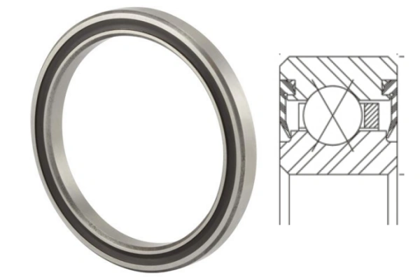 Cross-sectional view of a thin-section ball bearing, showcasing its compact structure for robotics.