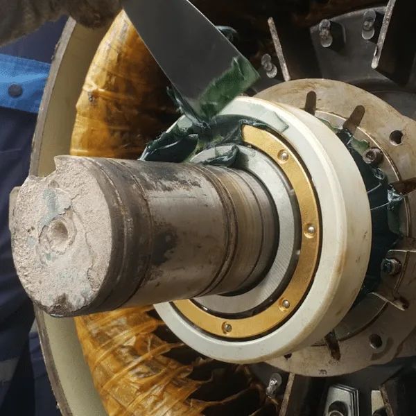 A coated bearing on the motor and regrease it