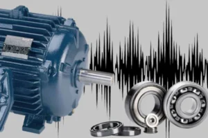 electric motor with bearings