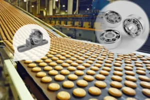A worker inspecting a machine on a food production line, with a close-up on stainless steel roller bearings that resist corrosion and bacteria, ensuring safe machine operation.