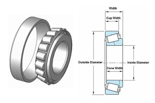 An exploded view diagram illustrating the components of a TS (Tapered Single Roller Bearings) (Metric), showing the cone, cup, rollers, and cage.