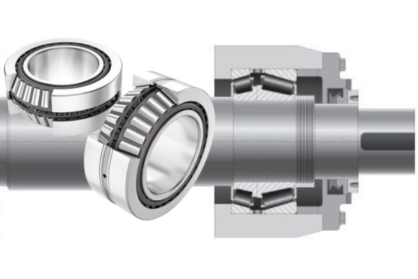 An illustration showing the internal structure of a double row tapered roller bearing, highlighting the arrangement of the tapered rollers for enhanced rigidity.