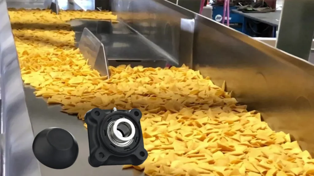 a food conveyor system and a bearing unit for food conveyor