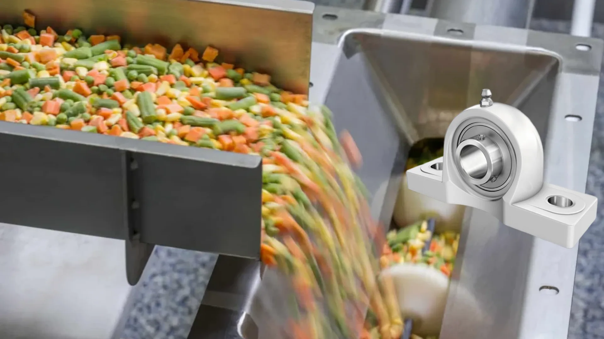 The image shows some vegetables on a conveyor and a bearing unit for the food conveyor