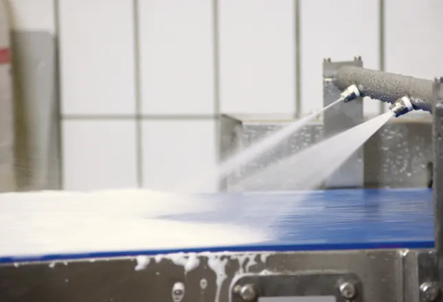 image shows the conveyor are washed, bearings with excellent sealing are generally not affected by this kind of flushing.