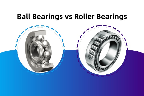 Visual comparison showing the structural differences between ball bearings and roller bearings.