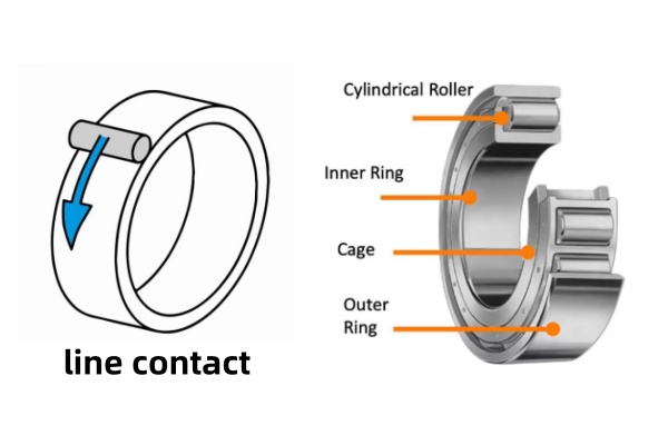Internal view of a roller bearing highlighting the line contact of cylindrical rollers.