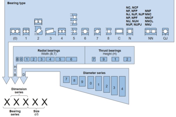 Assortment of deep groove ball bearings and roller bearings identifying different type codes.