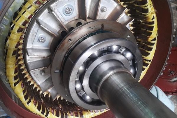 Electric motor shaft supported by deep groove ball bearings for quiet operation.